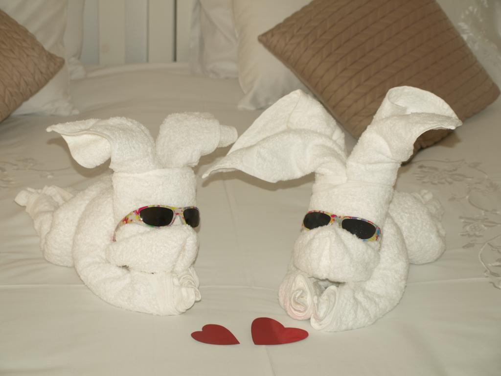 Caxton Manor B&B Cape Town Luaran gambar