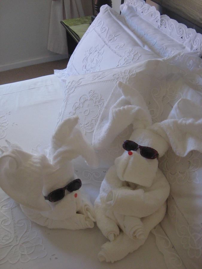 Caxton Manor B&B Cape Town Luaran gambar
