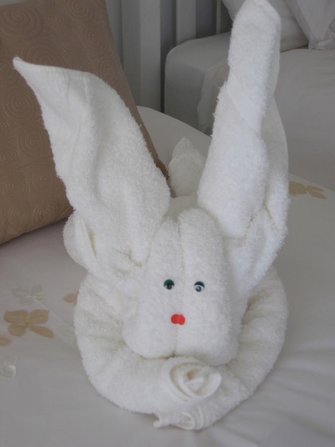 Caxton Manor B&B Cape Town Luaran gambar